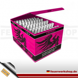 Heron Pyro Show Pack (PSP) 3-1B Feuerwerksbatterie