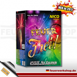 *Feuer frei* - Batteriefeuerwerk von Nico