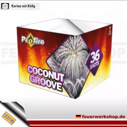 Professionelles Feuerwerk *Coconut groove*